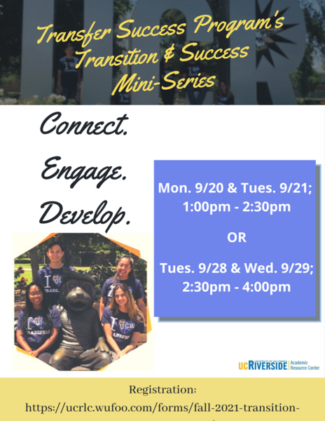 Transition and Success Mini-Series Flyer